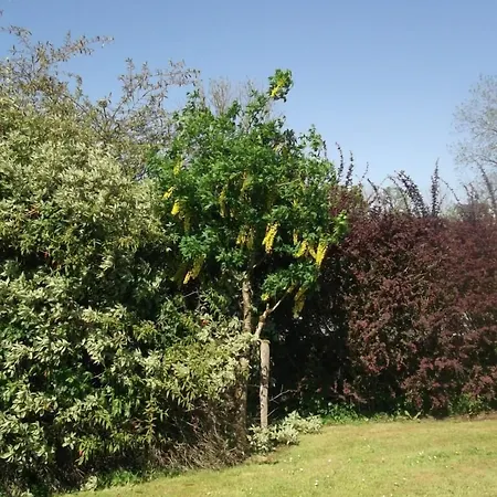 Guest house Aisleigh 3*