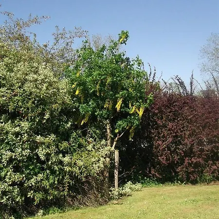 Aisleigh Guest house 3*