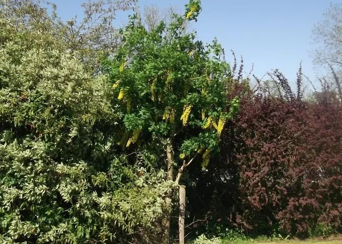 Gasthuis Aisleigh 3*